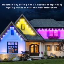 Laden Sie das Bild in den Galerie-Viewer, LightingWill OL1 Permanent Outdoor Lights