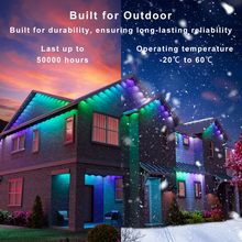 Laden Sie das Bild in den Galerie-Viewer, LightingWill OL1 Permanent Outdoor Lights