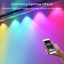 Laden Sie das Bild in den Galerie-Viewer, LightingWill OL1 Permanent Outdoor Lights