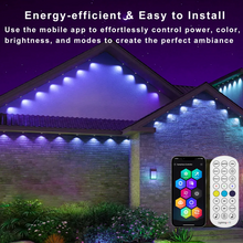 Laden Sie das Bild in den Galerie-Viewer, LightingWill OL1 Permanent Outdoor Lights