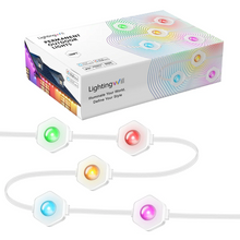 Laden Sie das Bild in den Galerie-Viewer, LightingWill OL1 Permanent Outdoor Lights