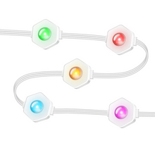 Laden Sie das Bild in den Galerie-Viewer, LightingWill OL1 Permanent Outdoor Lights