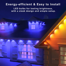 Laden Sie das Bild in den Galerie-Viewer, LightingWill OL1 Permanent Outdoor Lights