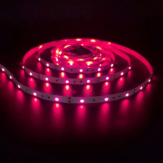 inSharePlus Mini-Inline-LED-Dimmschalter DC 12 V 2 A PWM mit DC-Buchse 5.5/2.1-Anschluss für einfarbige 3528 5050 LED-Lichtstreifen (1 Packung, Schwarz)