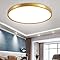 inShareplus 12 Inch 24W Gold LED Ceiling Light, Daylight White 5000K 0.94 Inch Ultra Thin Flush Mount Ceiling Lighting, 3200LM Super Bright Gold Ceiling Lamp for Bedroom, Office, Hallway, Kitchen