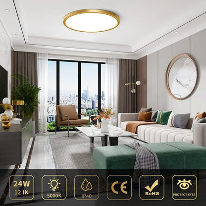 inShareplus 12 Zoll 24W Gold LED-Deckenleuchte, Tageslichtweiß 5000K, 0,94 Zoll ultradünne Deckenbeleuchtung zur Unterputzmontage, 3200LM superhelle goldene Deckenlampe für Schlafzimmer, Büro, Flur, Küche 