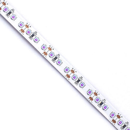 380–385nm 240 LEDs/m UV Blacklight LED Strip | SMD2835 | DC12V | Non-Waterproof / IP65 Waterproof/IP67 Waterproof | Not Include Power Supply | For Glow Party, Fluorescent & Stage Lighting