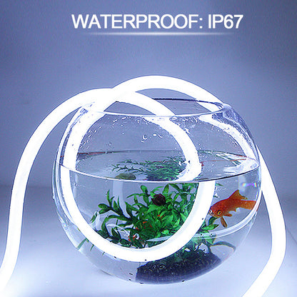 I-TE Series 5×11mm Top Emitting LED Neon Tube Housing | S0511 Waterproof Neon Housing | IP67 Waterproof | 8mm PCB Width | 16.4FT/5M | Jewelry Display Accent Lighting