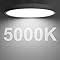 inShareplus 9inch LED Flush Mount Ceiling Light Fixture, 18W [180W Equiv] Warm White 2800K Ceiling Lights Fixture, 1800LM White Ceiling Lamp for Bedroom, Living Room, Kitchen, Office, Hallway [Energy Class F]