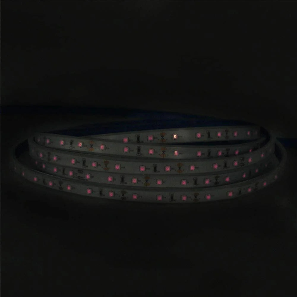 810nm 240 LEDs/m DC12V IR LED Light Strip – Near IR for Inspection Equipment, SMD2835, IP00/IP65, 5 Meters