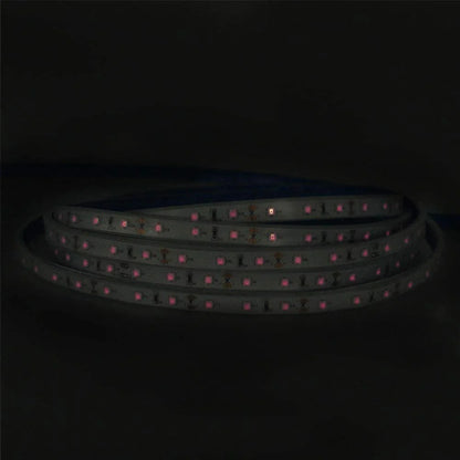 810nm 120 LEDs/m DC12V IR LED Light Strip – Near IR for NIR Imaging and Vision Inspection Systems, SMD2835/SMD5050, IP00/IP65, 5 Meters