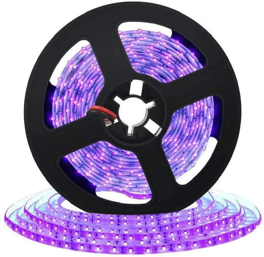 395–405nm 60 LEDs/m UV Blacklight LED Strip | SMD2835 / SMD5050 | DC12V | Non-Waterproof / IP65 Waterproof | Not Include Power Supply | For Blacklight, Party & Stage Lighting