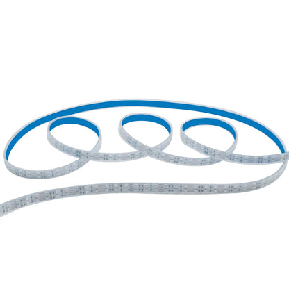 395–405nm 120 LEDs/m UV Blacklight LED Strip | SMD2835 / SMD5050 | DC12V | Non-Waterproof / IP65 Waterproof | Not Include Power Supply | For Blacklight, Party & Stage Lighting