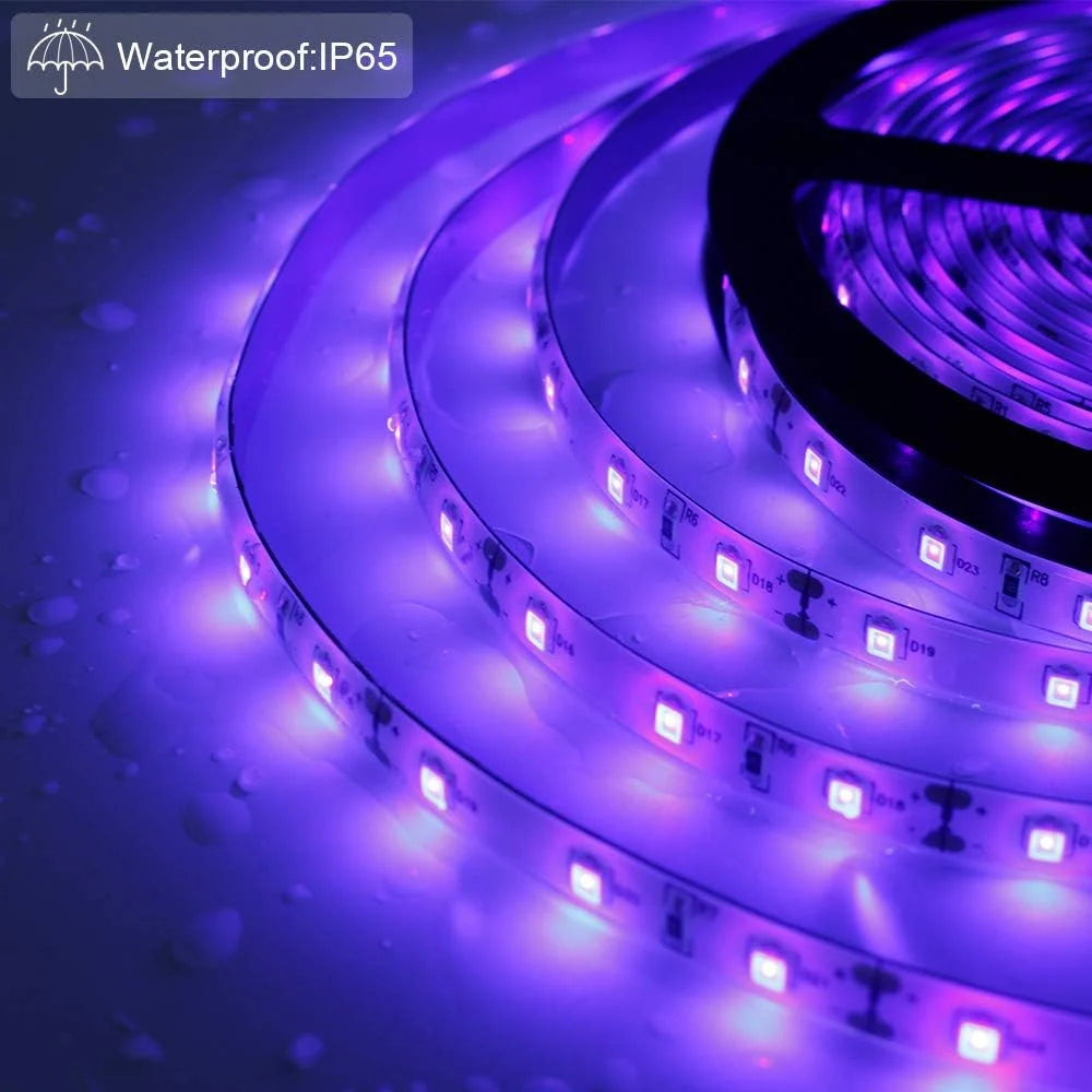24W SMD2835 395–405nm DC12V UV Blacklight LED Strip | 60 LEDs/m | Non-Waterproof / IP65 Waterproof | With Power Adapter | For Blacklight, Party & Glow Decoration