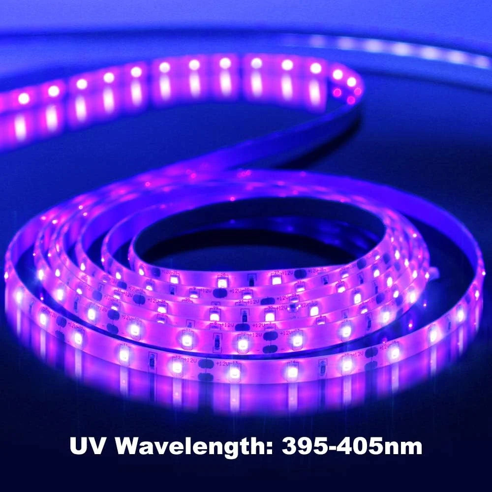 24W SMD2835 395–405nm DC12V UV Blacklight LED Strip | 60 LEDs/m | Non-Waterproof / IP65 Waterproof | With Power Adapter | For Blacklight, Party & Glow Decoration