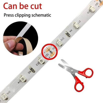 380–385nm 240 LEDs/m UV Blacklight LED Strip | SMD2835 | DC12V | Non-Waterproof / IP65 Waterproof/IP67 Waterproof | Not Include Power Supply | For Glow Party, Fluorescent & Stage Lighting