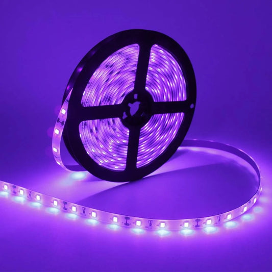 60W SMD2835 395–405nm DC12V UV Blacklight LED Strip | 60 LEDs/m | Non-Waterproof / IP65 Waterproof | With Power Adapter | For Stage Blacklight, Party & Entertainment