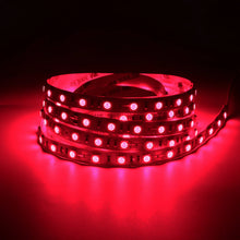 Laden Sie das Bild in den Galerie-Viewer, inSharePlus Mini-Inline-LED-Dimmschalter DC 12 V 2 A PWM mit DC-Buchse 5.5/2.1-Anschluss für einfarbige 3528 5050 LED-Lichtstreifen (1 Packung, Schwarz) 