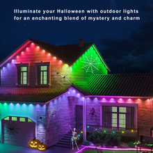 Laden Sie das Bild in den Galerie-Viewer, LightingWill OL1 Permanent Outdoor Lights