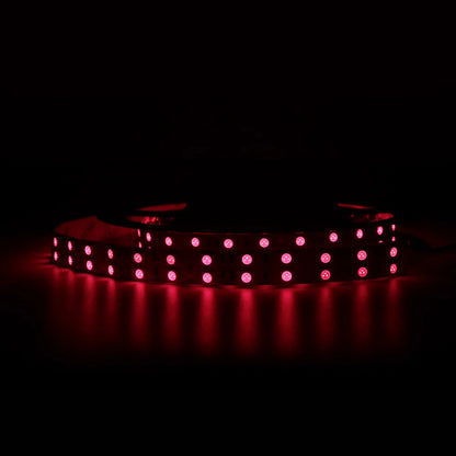 940nm 120 LEDs/m DC12V IR LED Light Strip – Invisible IR for Camera Systems and Smart Sensor Systems, SMD2835/SMD5050, IP00/IP65, 5 Meters