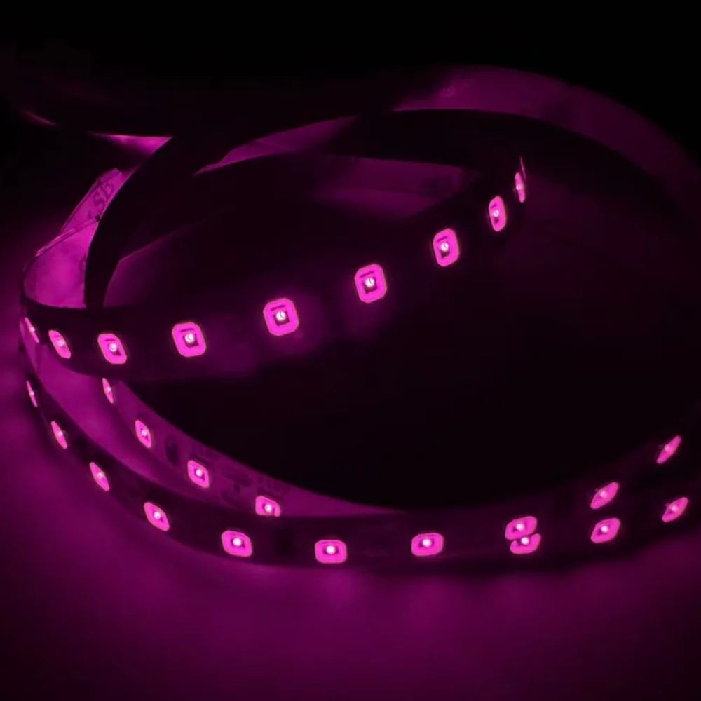 810nm 240 LEDs/m DC12V IR LED Light Strip – Near IR for Inspection Equipment, SMD2835, IP00/IP65, 5 Meters