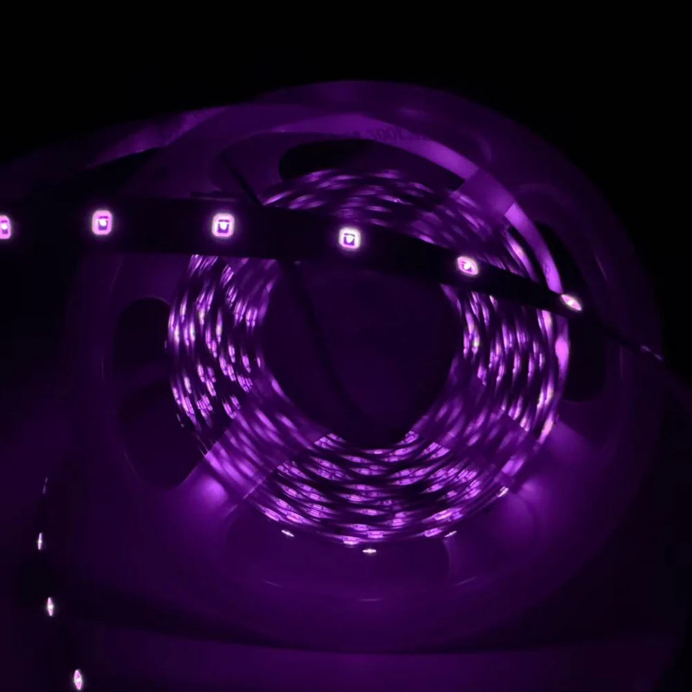 810nm 240 LEDs/m DC12V IR LED Light Strip – Near IR for Inspection Equipment, SMD2835, IP00/IP65, 5 Meters