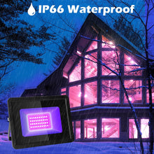 Laden Sie das Bild in den Galerie-Viewer, inShareplus 20W UV Flood Light, IP66 Waterproof Outdoor High Power UV Black Lights, 395nm-400nm UV Light for Party, Stage, Paint, Collection, Resin Curing
