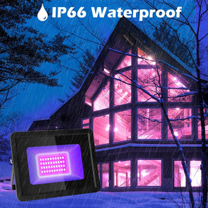 inShareplus 20W UV Flood Light, IP66 Waterproof Outdoor High Power UV Black Lights, 395nm-400nm UV Light for Party, Stage, Paint, Collection, Resin Curing