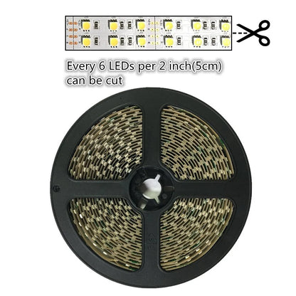 810nm 120 LEDs/m DC12V IR LED Light Strip – Near IR for NIR Imaging and Vision Inspection Systems, SMD2835/SMD5050, IP00/IP65, 5 Meters