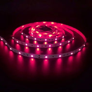 inSharePlus Mini-Inline-LED-Dimmschalter DC 12 V 2 A PWM mit DC-Buchse 5.5/2.1-Anschluss für einfarbige 3528 5050 LED-Lichtstreifen (1 Packung, Schwarz) 