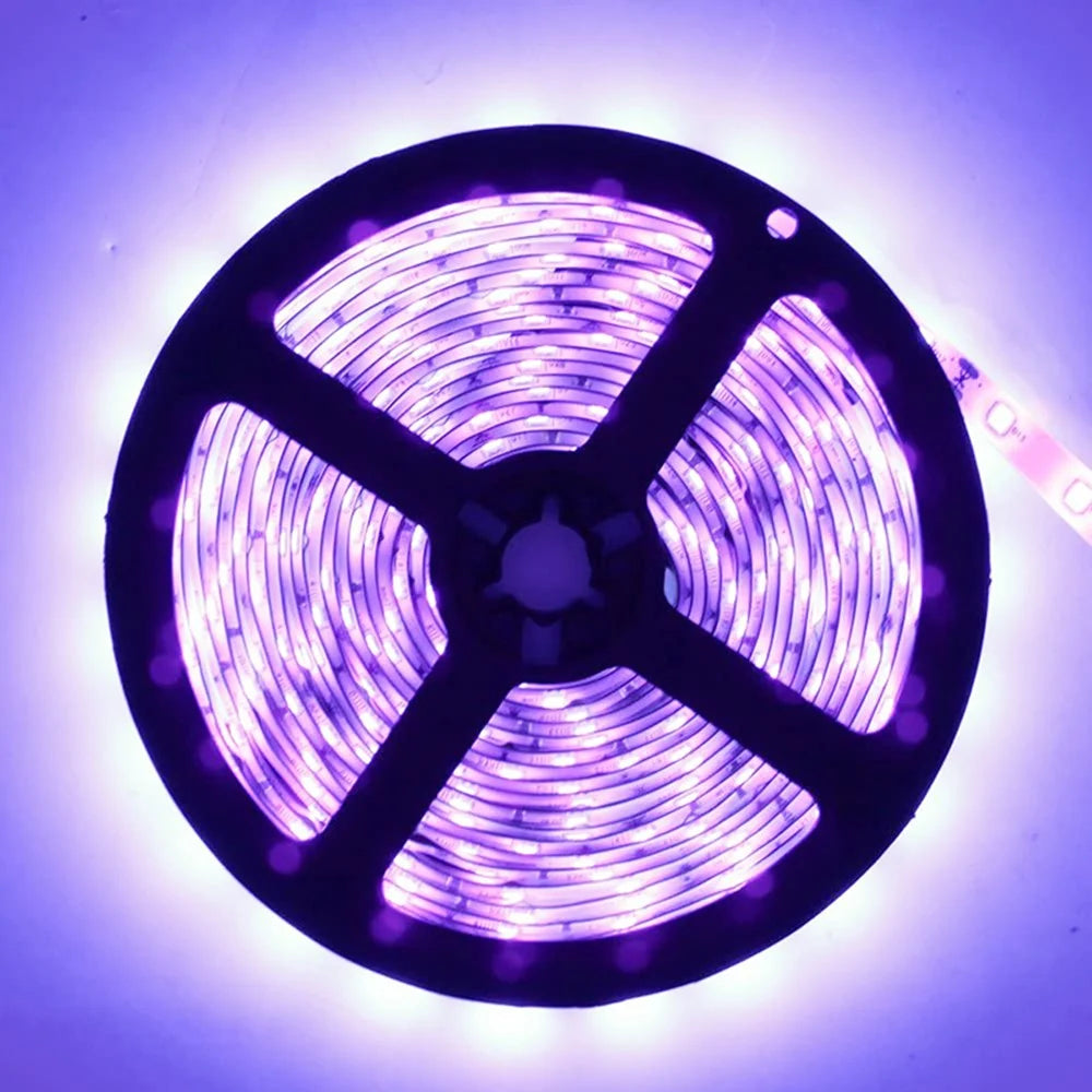 380–385nm 30 LEDs/m UV Blacklight LED Strip | SMD5050 | DC12V | Non-Waterproof / IP65 Waterproof/IP67 Waterproof | Not Include Power Supply | For Glow Party, Fluorescent & Stage Lighting