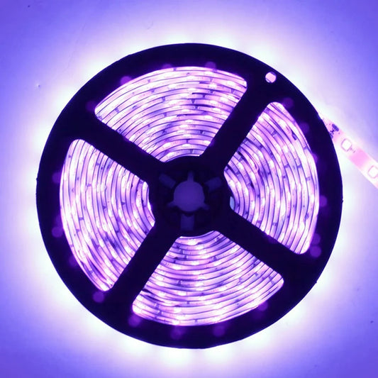 380–385nm 30 LEDs/m UV Blacklight LED Strip | SMD5050 | DC12V | Non-Waterproof / IP65 Waterproof/IP67 Waterproof | Not Include Power Supply | For Glow Party, Fluorescent & Stage Lighting